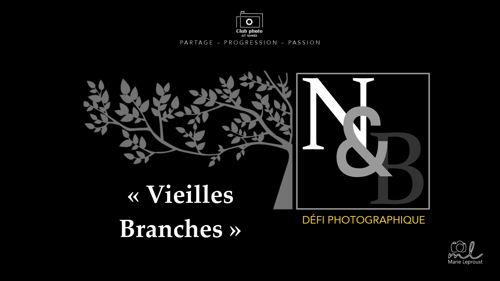 Défi : Vieilles branches - Noir et blanc