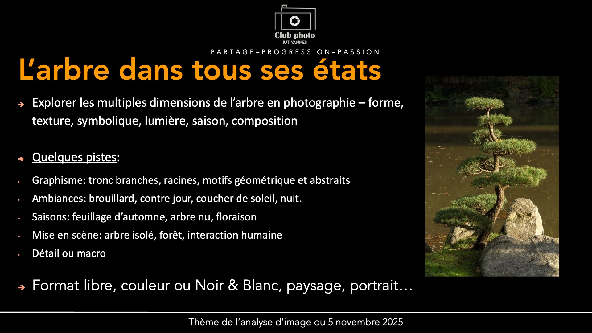 L’arbre dans tous ses états