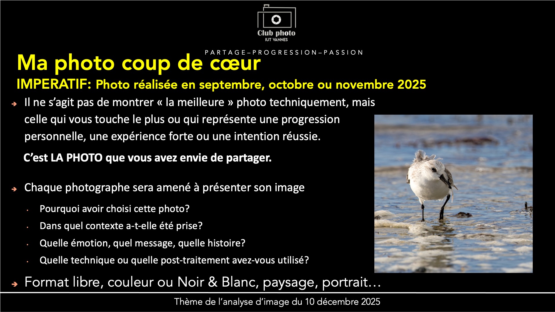 Ma photo coup de cœur