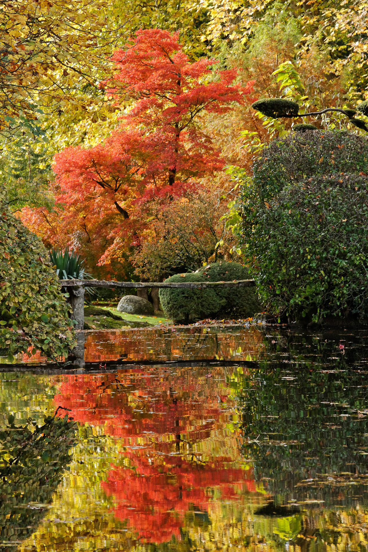 Période Momiji au Parc Oriental de Maulévrier