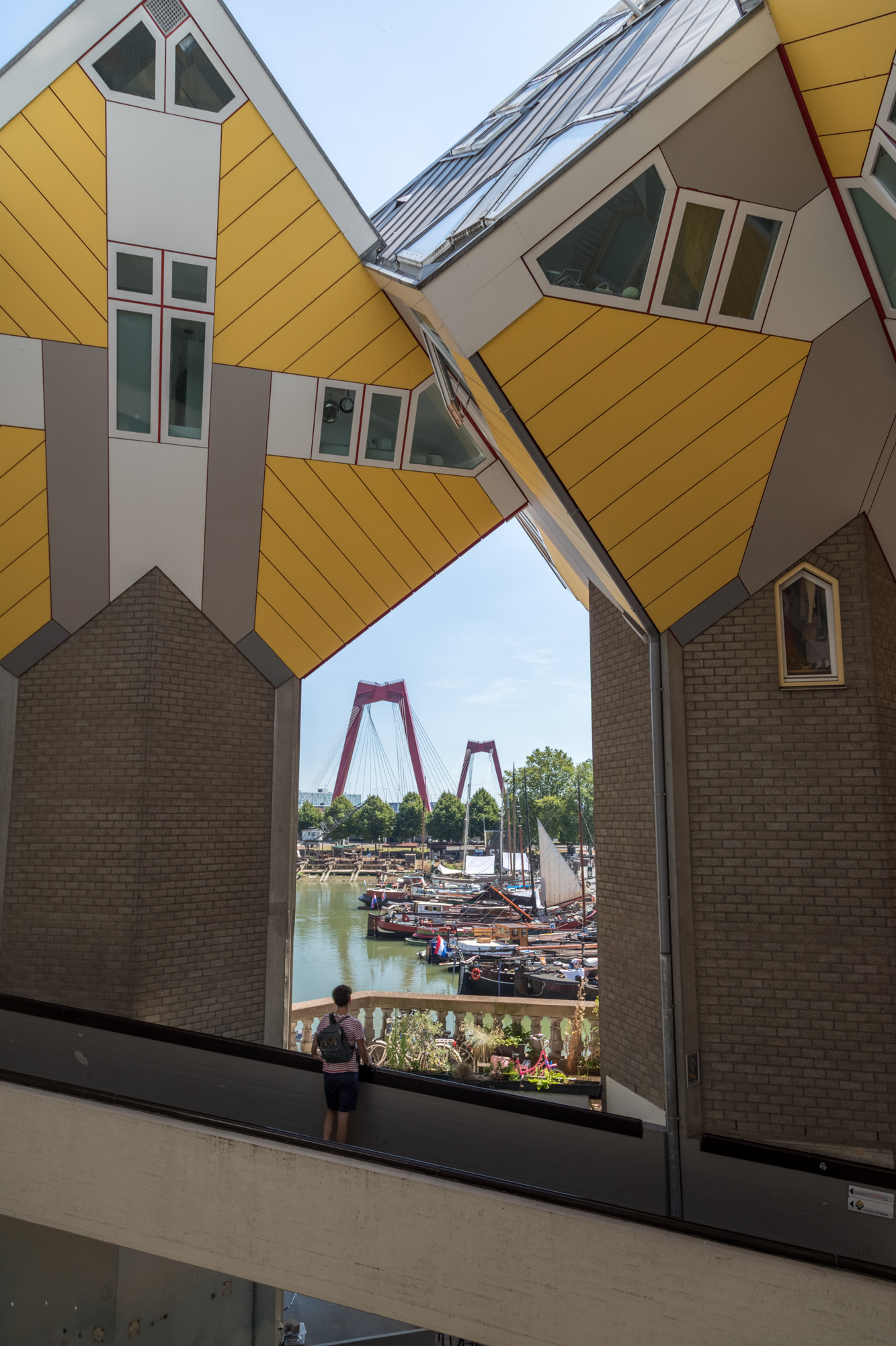 Gestion de la lumière