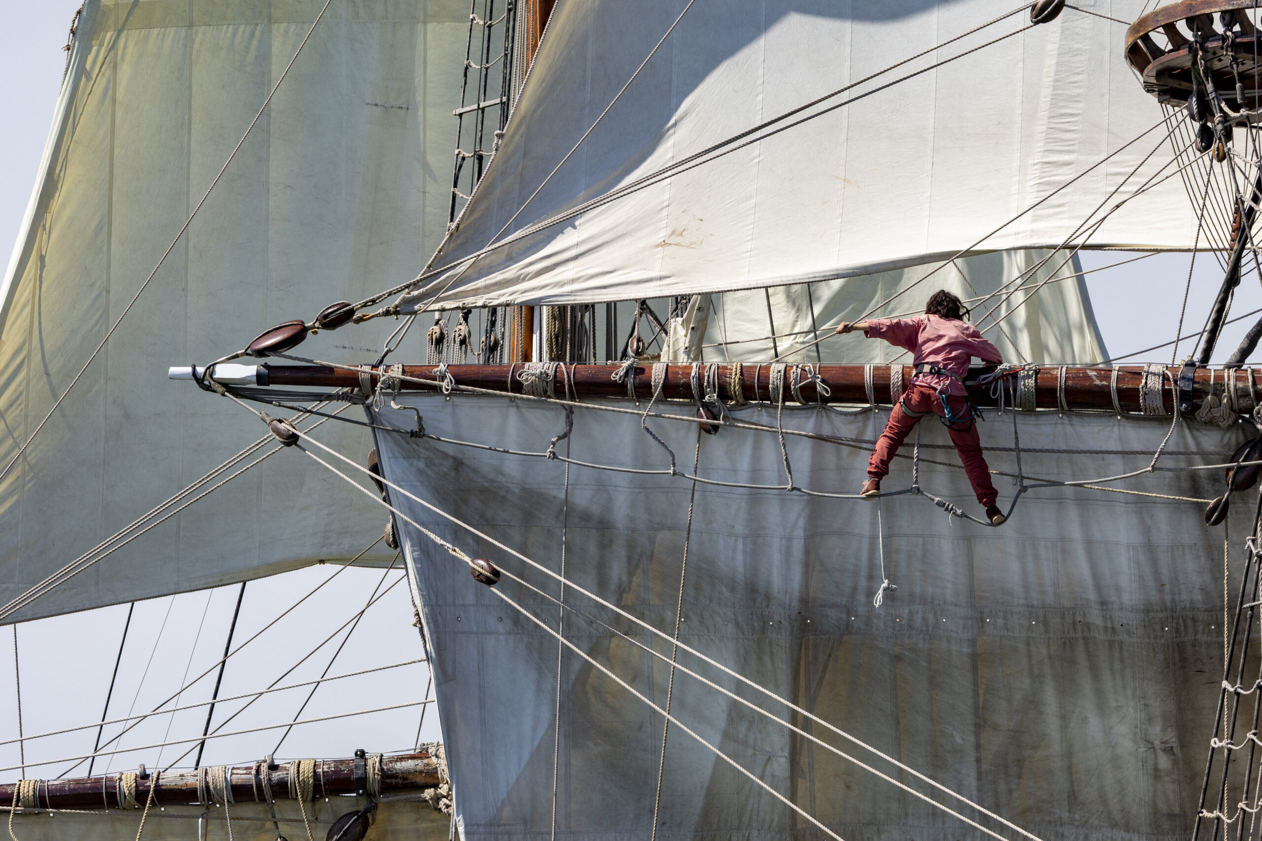 Sélection finale de l'expo de la semaine du golfe