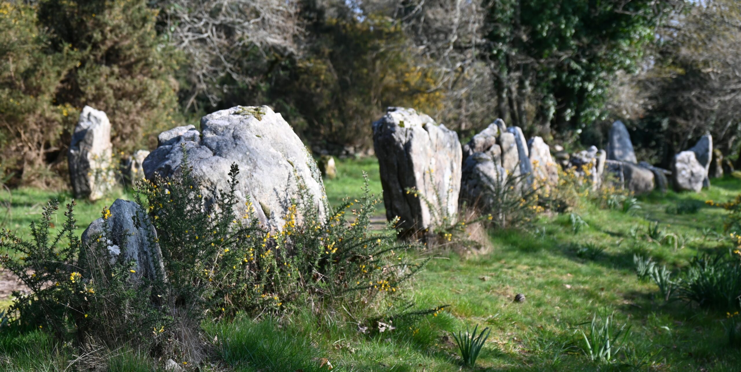 Sortie parmi les bois et les menhirs
