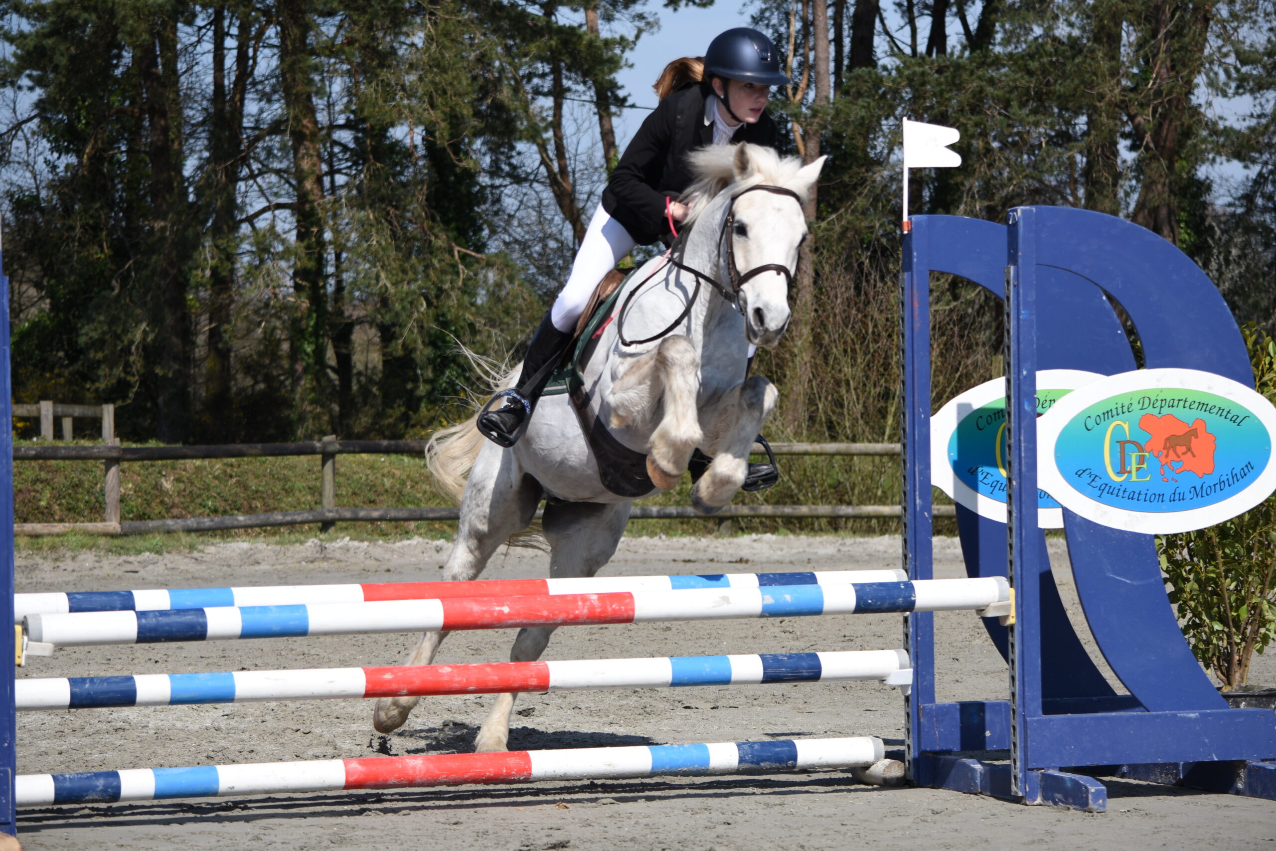 Concours hippiques au Centre équestre de Kerbotin à st Avé