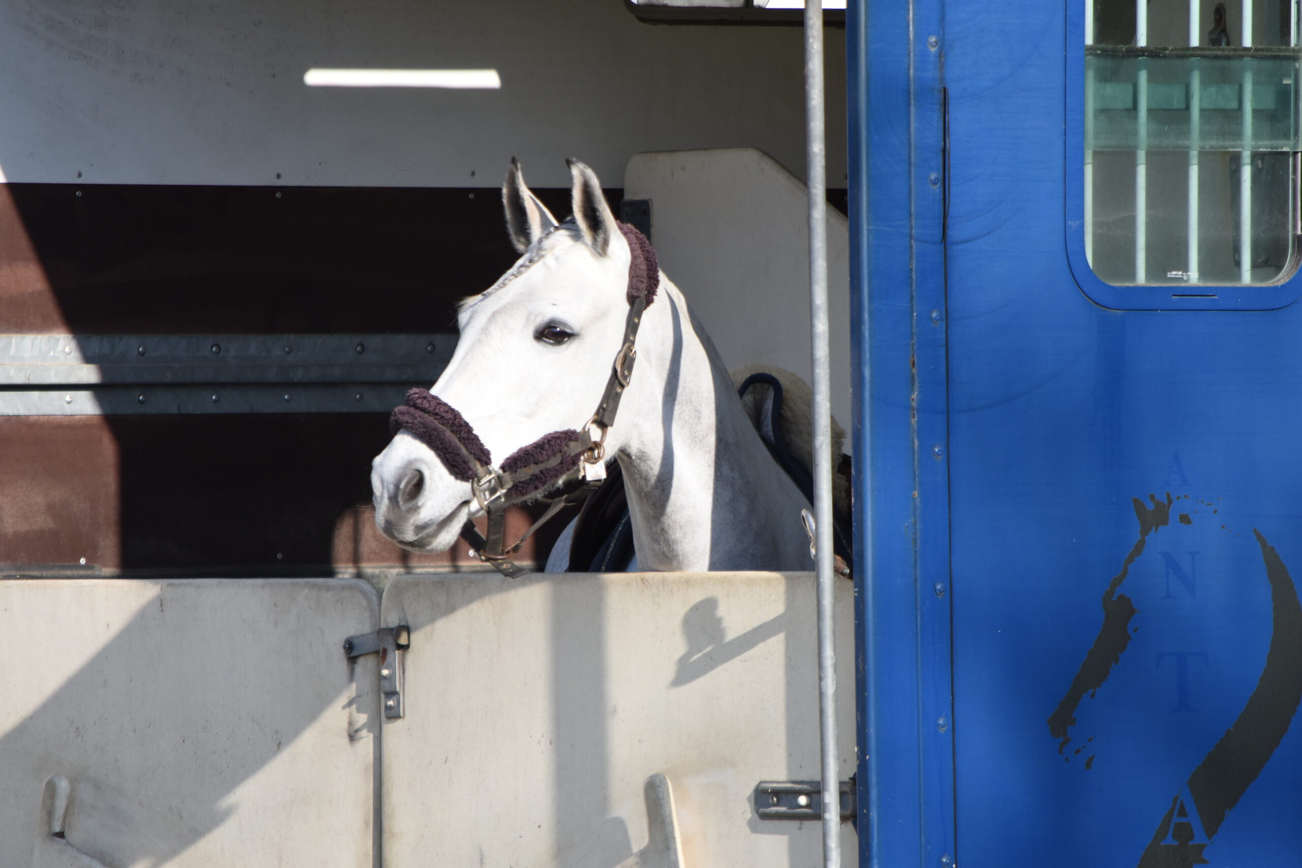 Courses hippiques Hippodrome de Vannes
