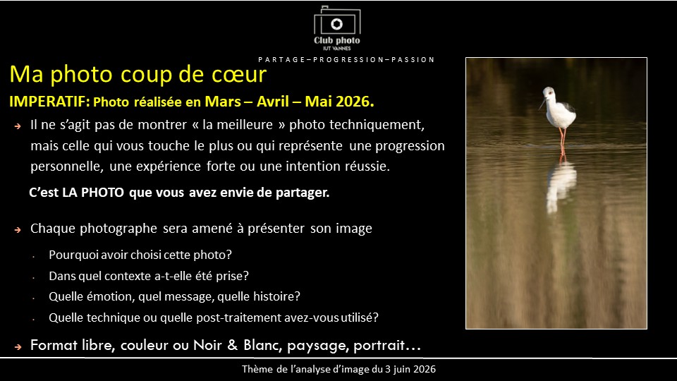 Ma photo coup de coeur