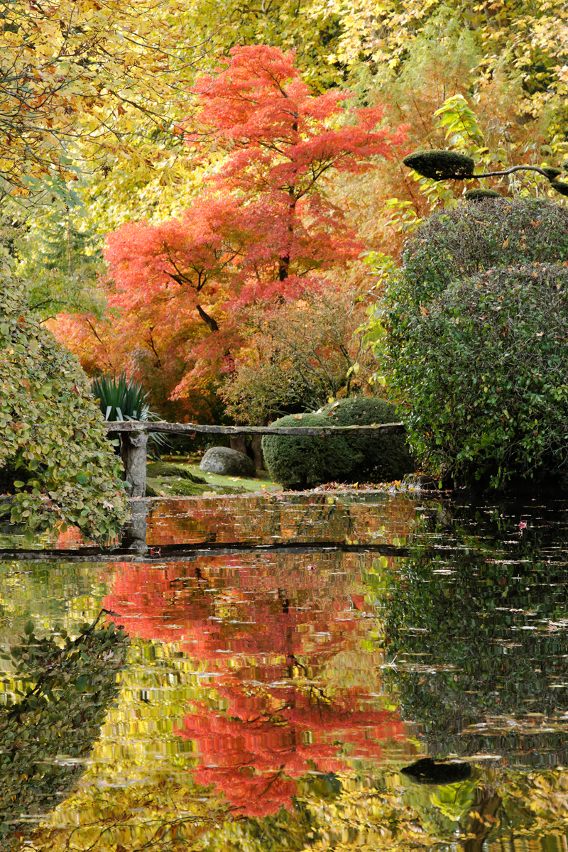 L'automne